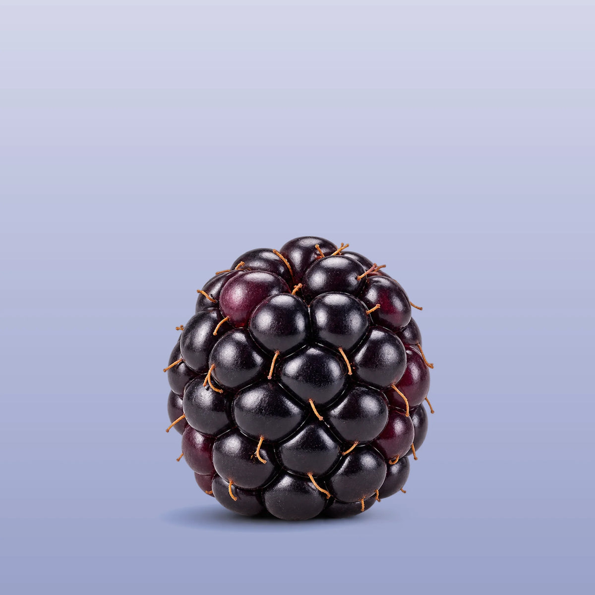 BLACKBERRY